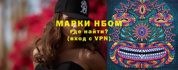 винт Аркадак