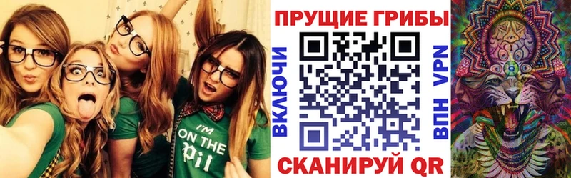 Псилоцибиновые грибы MAGIC MUSHROOMS  Багратионовск 